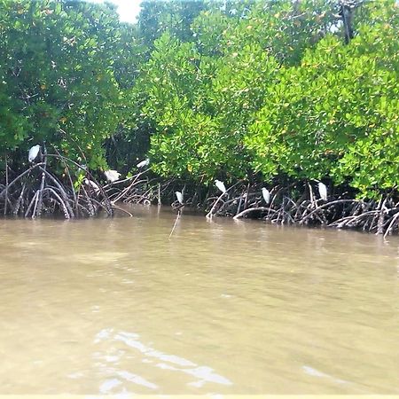 Mida Creek Nature Camp Ватаму Экстерьер фото