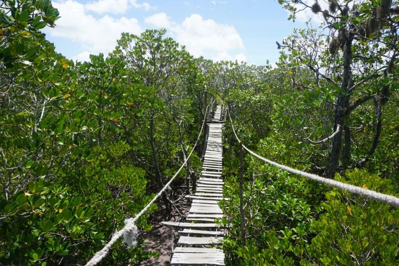 Mida Creek Nature Camp Ватаму Экстерьер фото